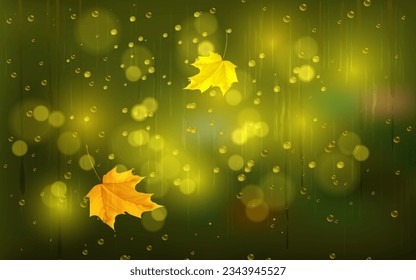 raindrops and fallen maple leaves on the window, weather characteristic of autumn.