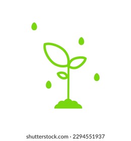 Raindrops falling on the green plant in the soil, water the field, clean water and plantl, ecology environment concept, eco friendly energy.