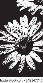gotas de lluvia en una ilustración en blanco y negro margarita