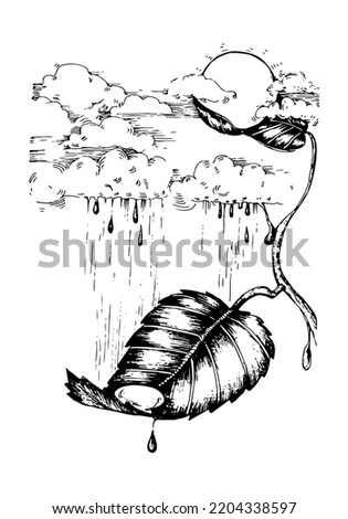 Raindrops from the sky. A Drop on a plant leaf. Line sketch vector illustration