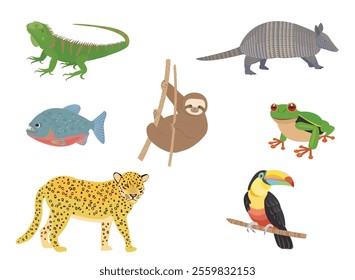 Rainforest animals. South America wildlife.