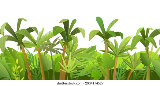 Fondo del bosque lluvioso. Árboles de selva. Estilo divertido de caricatura. Aislado sobre fondo blanco. Paisaje sin mar con vector de palmeras