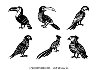 Rainforest Birds Silhouette vector Set