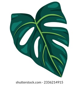 Rainforest botanical print element. Stylized monstera plant leaves. Tropical palm leaf symbol. Floral element isolated. Print, poster design. Vector illustration