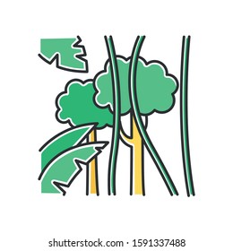 Rainforest color icon. Exotic trees and plants. Flora of Indonesian islands. Tropical greenery. Jungle lianas, trees and palm leaves. Explore nature of Bali. Isolated vector illustration