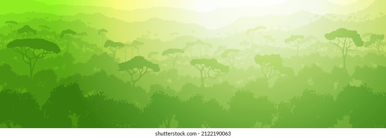 Rainforest hills, jungle. Panoramic view of southern nature, morning light.