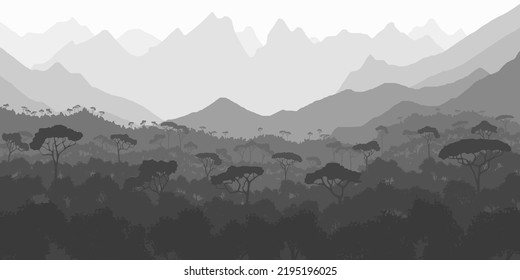Rainforest, jungle against the backdrop of mountains. View of southern nature, morning light. Black and white landscape.