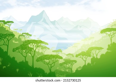 Rainforest, jungle against the backdrop of snow-capped mountains. View of southern nature, morning light.