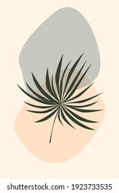 Rainforest jungle exotic leaf pattern background