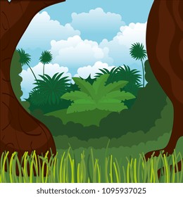 rainforest jungle natural scene