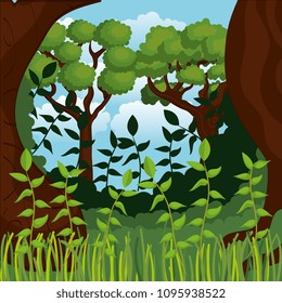rainforest jungle natural scene