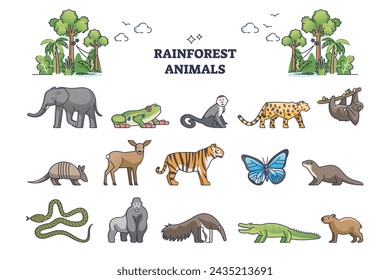 Rainforest jungle wildlife elements with animal fauna outline collection set. Zoology and biodiversity for lush and mist climate habitat vector illustration. Insects, birds, reptile and mammal items.