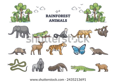 Rainforest jungle wildlife elements with animal fauna outline collection set. Zoology and biodiversity for lush and mist climate habitat vector illustration. Insects, birds, reptile and mammal items.