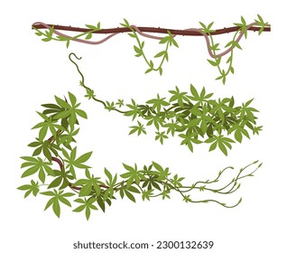 Rainforest liana vines. Jungle liana plants, tropical climbing creepers. Cartoon exotic creeper flat vector illustration set