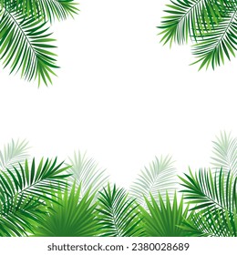 rainforest plants border frame. Tropical vector illustration with beautiful amazon plants. Coconut palms leaves on a white background. good choice for summer, travel designs, posters and wallpapers.