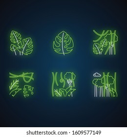 Rainforest plants neon light icons set. Evergreen forest vines. Swiss cheese plant. Trip to Indonesian jungle. Bali nature. Exploring tropical flora. Glowing signs. Vector isolated illustrations