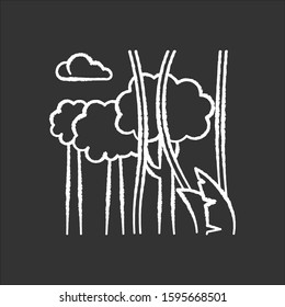 Rainforest plants and trees chalk icon. Evergreen forest vines. Lianas and high trees. Trip to Indonesian jungle. Discover Bali nature. Explore tropical flora. Isolated vector chalkboard illustration