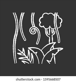 Rainforest plants and trees chalk icon. Evergreen forest vines. Lianas and fern frond. Trip to Indonesian jungle. Discover Bali nature. Explore tropical flora. Isolated vector chalkboard illustration