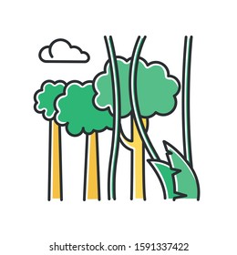 Rainforest plants and trees color icon. Evergreen forest vines. Lianas and high trees. Trip to Indonesian jungle. Discovering Bali nature. Exploring tropical flora. Isolated vector illustration