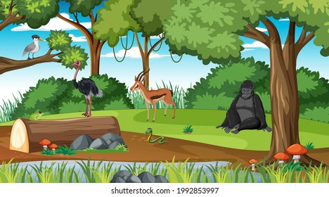 Rainforest scene with different wild animals  illustration