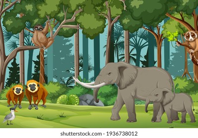 Rainforest scene with wild animals illustration