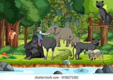 Rainforest Scene With Wild Animals Illustration