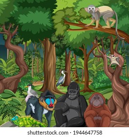 Rainforest scene with wild animals illustration