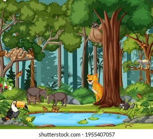 Rainforest scene with wild animals illustration