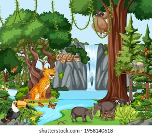 Rainforest scene with wild animals illustration