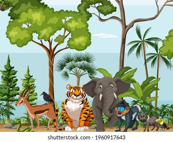 Rainforest scene with wild animals illustration