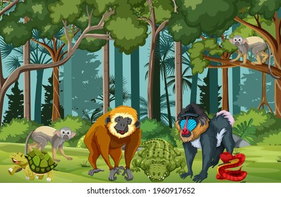 Rainforest scene with wild animals illustration