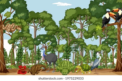 Rainforest scene with wild animals illustration