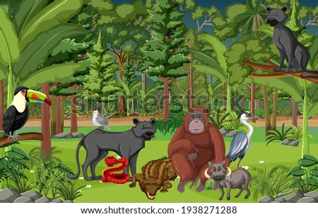 Similar – Image, Stock Photo orangutan Safari Animal