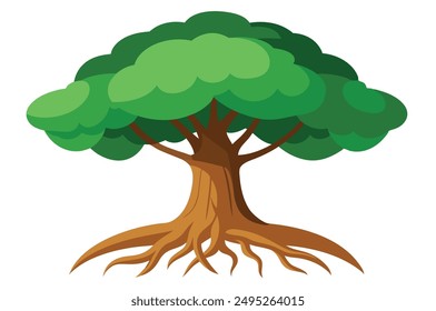  rainforest tree with big roots flat vector set, illustration on white background