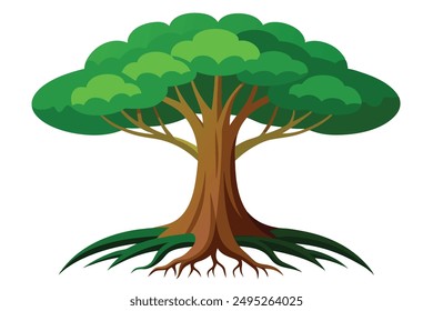  rainforest tree with big roots flat vector set, illustration on white background