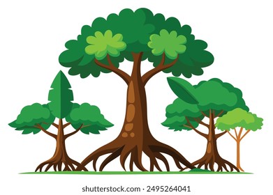  rainforest tree with big roots flat vector set, illustration on white background