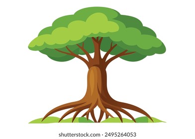  rainforest tree with big roots flat vector set, illustration on white background