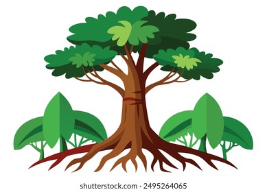  rainforest tree with big roots flat vector set, illustration on white background
