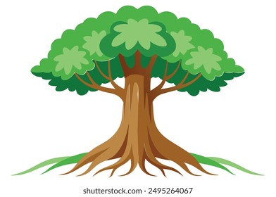  rainforest tree with big roots flat vector set, illustration on white background