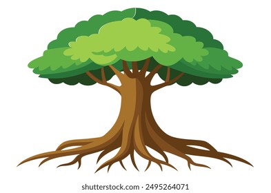  rainforest tree with big roots flat vector set, illustration on white background