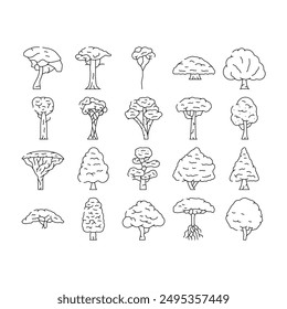 rainforest tree forest green icons set vector. nature natural, foliage tropical, jungle background plant, leaf, branch, environment rainforest tree forest green black contour illustrations