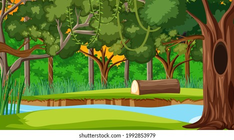 Rainforest or tropical forest at sunset time scene illustration