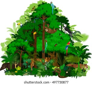 Rainforest vector illustration. Vector Green Tropical Forest jungle with animals