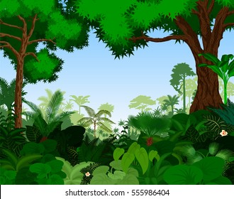 Rainforest vector illustration. Vector Green Tropical Forest jungle