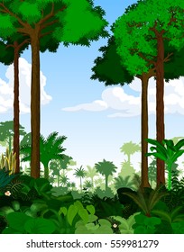 Rainforest vector illustration. Vector Green Tropical Forest jungle