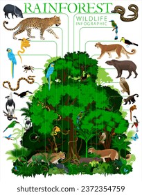 Ilustración del vector de la selva tropical. Infografía vectorial - Selva tropical verde con animales