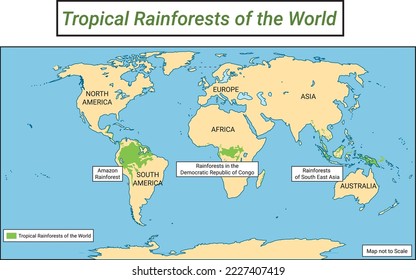 Rainforests of the world, Tropical Rainforest map