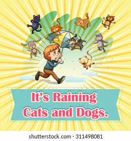 Regen bei Katzen und Hunden, Illustration