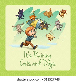 Raining Cats And Dogs Illustration