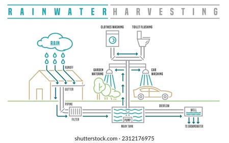 Rainwater harvesting scheme. Drought tolerant infographics. Collecting rain drops. Responsible lifestyle concept. Landscape poster. Outline vector illustration isolated on a white background.